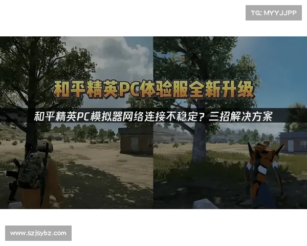 遇到和平精英无法进入游戏的情况时该如何解决和排查问题