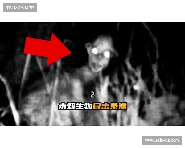 沼光湖五大神秘事件揭密:不可思议的未解之谜与恐怖传闻 沼光湖五大神秘事件揭密:不可思议的未解之谜与恐怖传闻