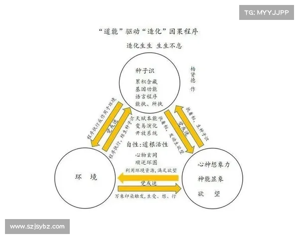 阴阳符文与宇宙观的深层解析与哲学思辨 阴阳符文与宇宙观的深层解析与哲学思辨