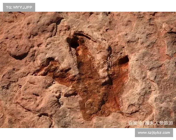 探寻恐怖祖先的隐秘足迹与被遗忘的历史真相