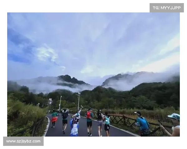 探索森林秘境挑战极限 自然越野赛带你穿越原始之美